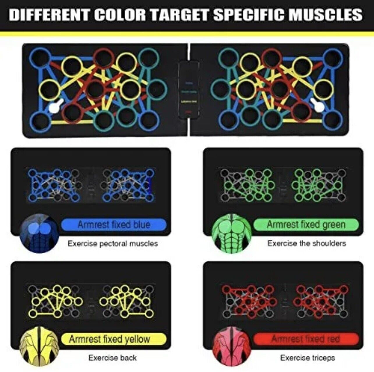 Push-up board with handles loaded into various slots demonstrating all 24 positions and how the layout guides positioning for muscle targeting.
